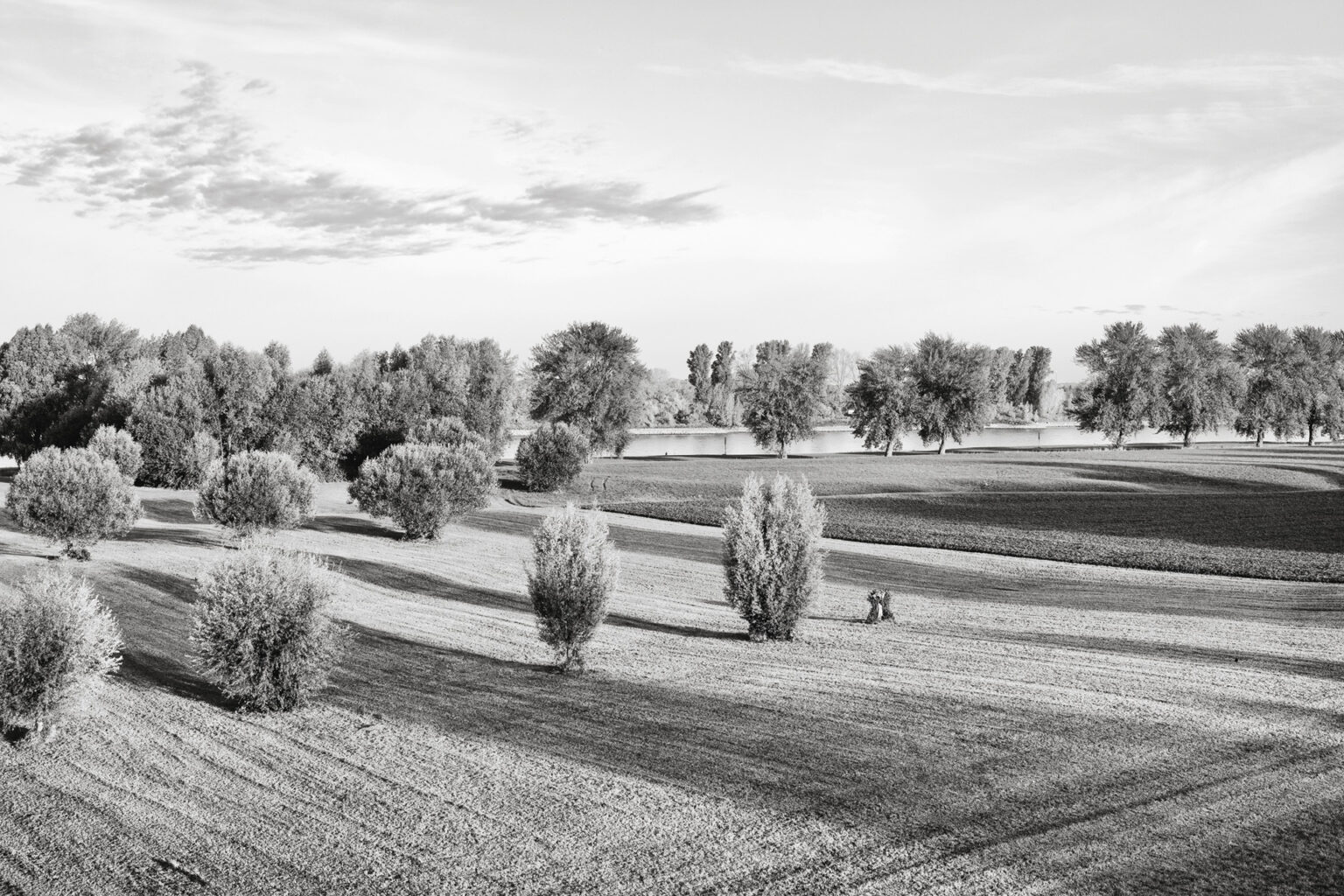 Der Rhein bei Düsseldorf-Lörick 2018